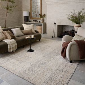 Homvirex area rug styled in a modern living room