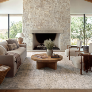 Homvirex area rug styled in a modern living room