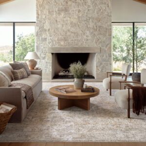 Homvirex area rug styled in a modern living room